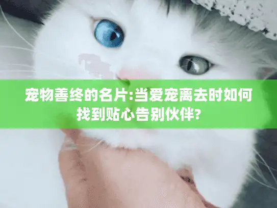 宠物善终的名片:当爱宠离去时如何找到贴心告别伙伴?
