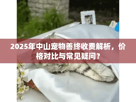 2025年中山宠物善终收费解析，价格对比与常见疑问？