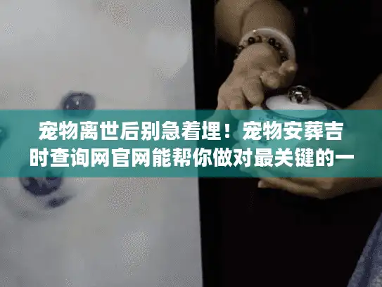 宠物离世后别急着埋！宠物安葬吉时查询网官网能帮你做对最关键的一步？