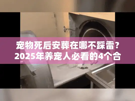 宠物死后安葬在哪不踩雷？2025年养宠人必看的4个合规方向+避坑清单