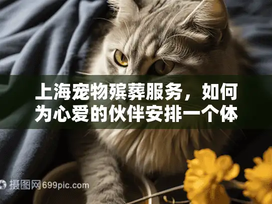 上海宠物殡葬服务，如何为心爱的伙伴安排一个体面的告别？