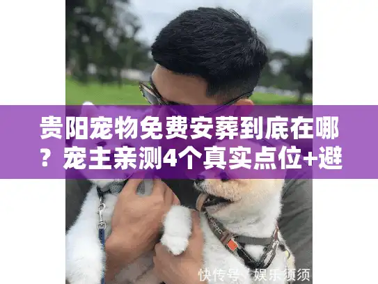 贵阳宠物免费安葬到底在哪？宠主亲测4个真实点位+避坑指南