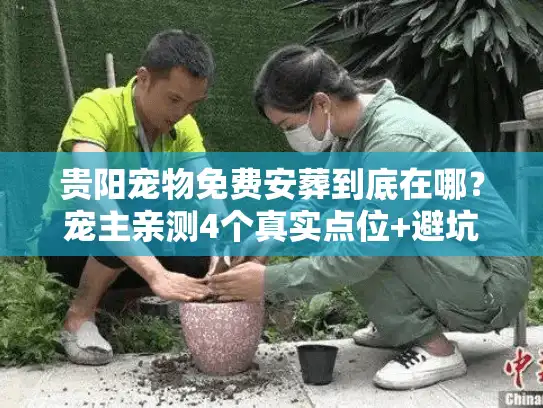 贵阳宠物免费安葬到底在哪？宠主亲测4个真实点位+避坑指南