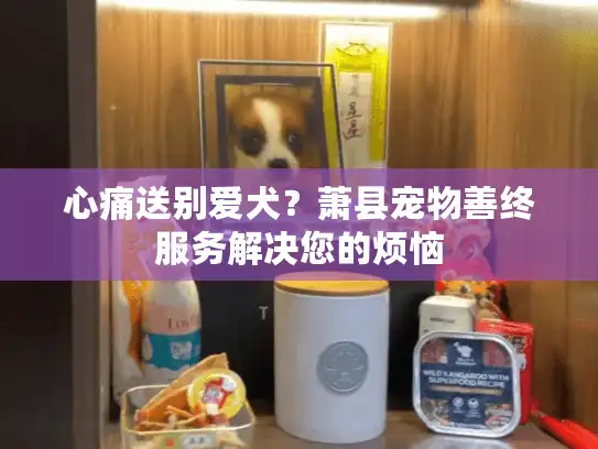 心痛送别爱犬？萧县宠物善终服务解决您的烦恼