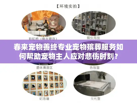 春来宠物善终专业宠物殡葬服务如何帮助宠物主人应对悲伤时刻？