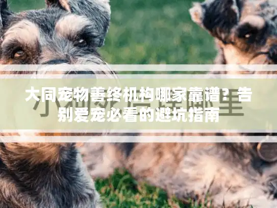 大同宠物善终机构哪家靠谱？告别爱宠必看的避坑指南