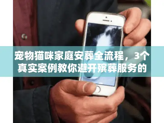宠物猫咪家庭安葬全流程，3个真实案例教你避开殡葬服务的隐形雷