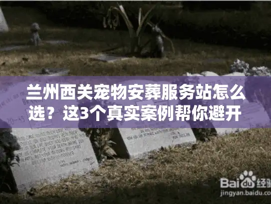 兰州西关宠物安葬服务站怎么选？这3个真实案例帮你避开90%的坑