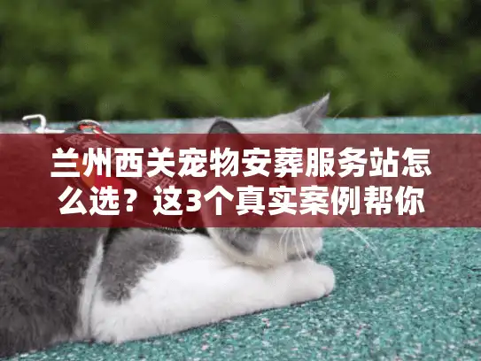 兰州西关宠物安葬服务站怎么选？这3个真实案例帮你避开90%的坑
