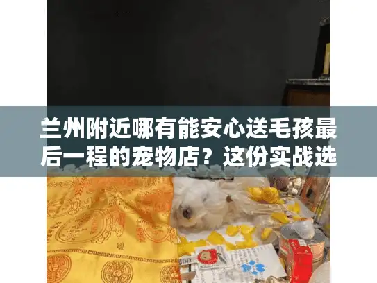 兰州附近哪有能安心送毛孩最后一程的宠物店？这份实战选址指南藏着你要的答案