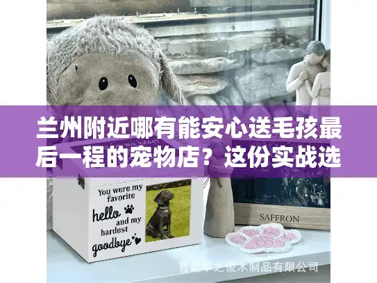 兰州附近哪有能安心送毛孩最后一程的宠物店？这份实战选址指南藏着你要的答案