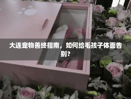 大连宠物善终指南，如何给毛孩子体面告别？