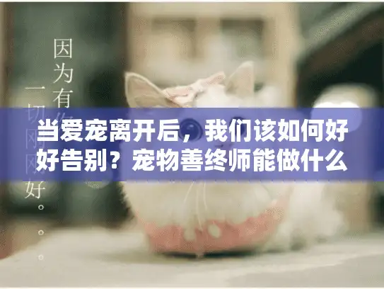 当爱宠离开后，我们该如何好好告别？宠物善终师能做什么？
