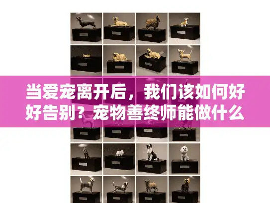 当爱宠离开后，我们该如何好好告别？宠物善终师能做什么？