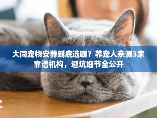 大同宠物安葬到底选哪？养宠人亲测3家靠谱机构，避坑细节全公开