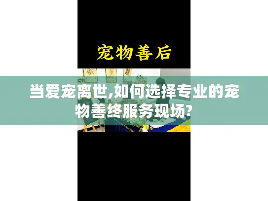 当爱宠离世,如何选择专业的宠物善终服务现场?