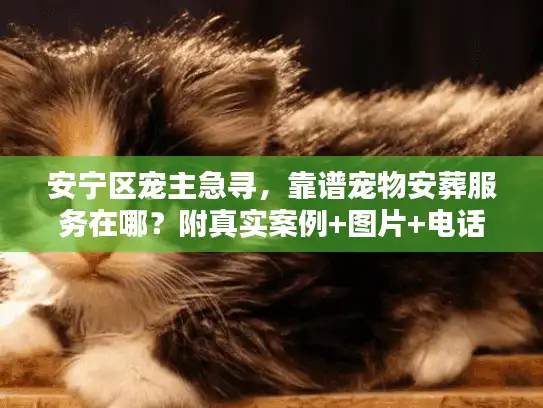 安宁区宠主急寻，靠谱宠物安葬服务在哪？附真实案例+图片+电话