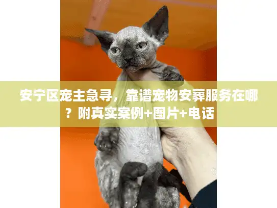 安宁区宠主急寻，靠谱宠物安葬服务在哪？附真实案例+图片+电话