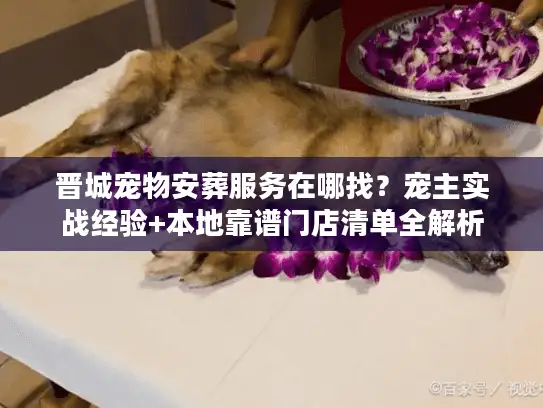 晋城宠物安葬服务在哪找？宠主实战经验+本地靠谱门店清单全解析
