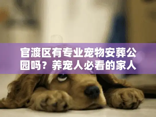 官渡区有专业宠物安葬公园吗？养宠人必看的家人式送养全指南