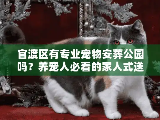官渡区有专业宠物安葬公园吗？养宠人必看的家人式送养全指南