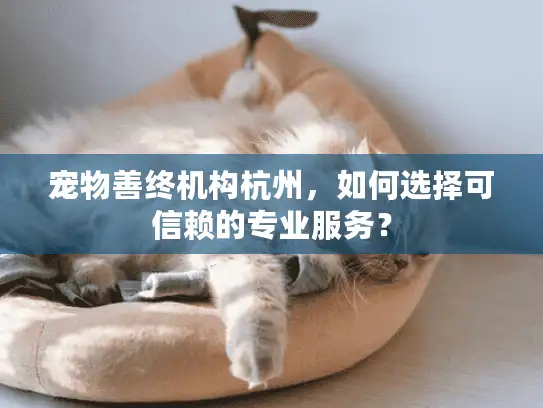 宠物善终机构杭州，如何选择可信赖的专业服务？