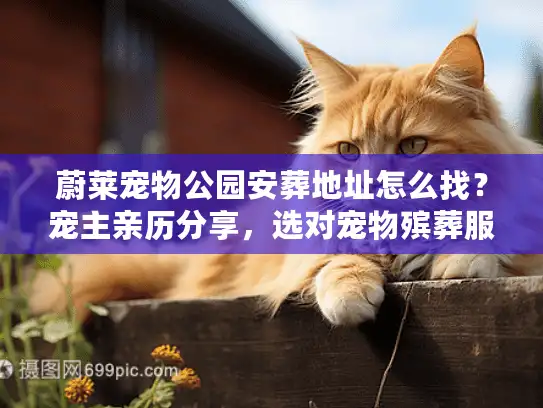 蔚莱宠物公园安葬地址怎么找？宠主亲历分享，选对宠物殡葬服务的3个关键