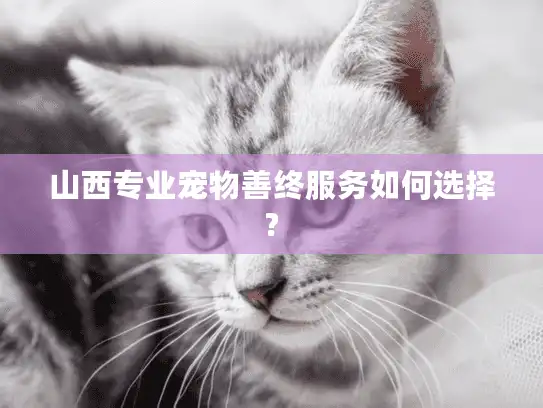 山西专业宠物善终服务如何选择?