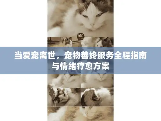当爱宠离世，宠物善终服务全程指南与情绪疗愈方案