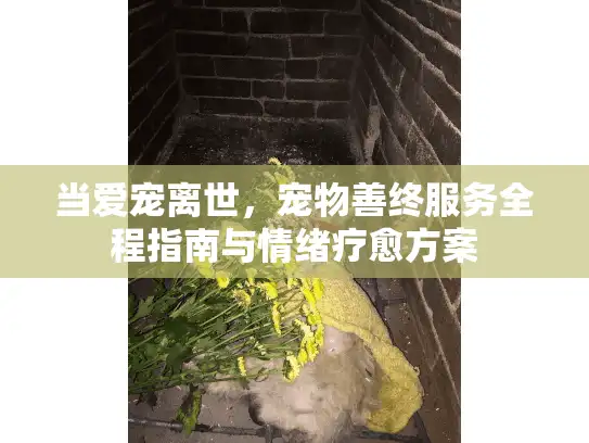 当爱宠离世，宠物善终服务全程指南与情绪疗愈方案