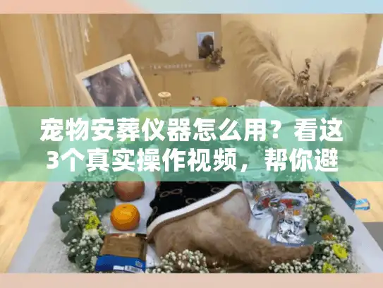 宠物安葬仪器怎么用？看这3个真实操作视频，帮你避开殡葬服务里的隐形坑