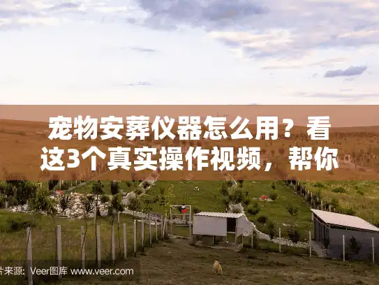 宠物安葬仪器怎么用？看这3个真实操作视频，帮你避开殡葬服务里的隐形坑