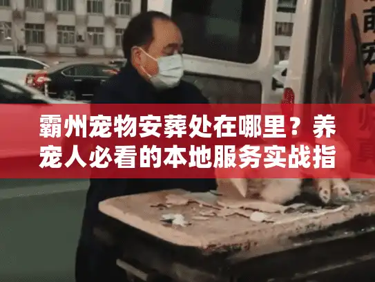 霸州宠物安葬处在哪里？养宠人必看的本地服务实战指南