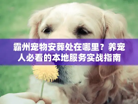 霸州宠物安葬处在哪里？养宠人必看的本地服务实战指南