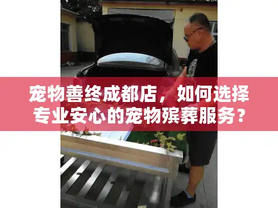 宠物善终成都店，如何选择专业安心的宠物殡葬服务？