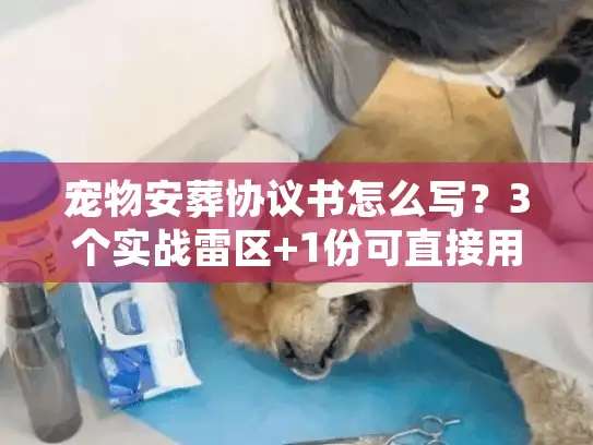 宠物安葬协议书怎么写？3个实战雷区+1份可直接用模板，避开90%纠纷