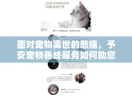 面对宠物离世的悲痛，予安宠物善终服务如何助您安顿告别