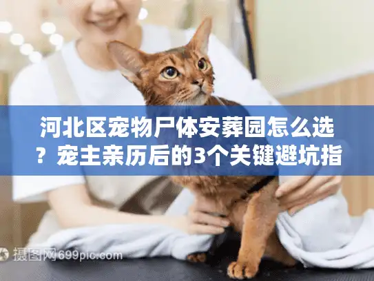河北区宠物尸体安葬园怎么选？宠主亲历后的3个关键避坑指南