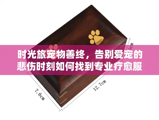 时光旅宠物善终，告别爱宠的悲伤时刻如何找到专业疗愈服务