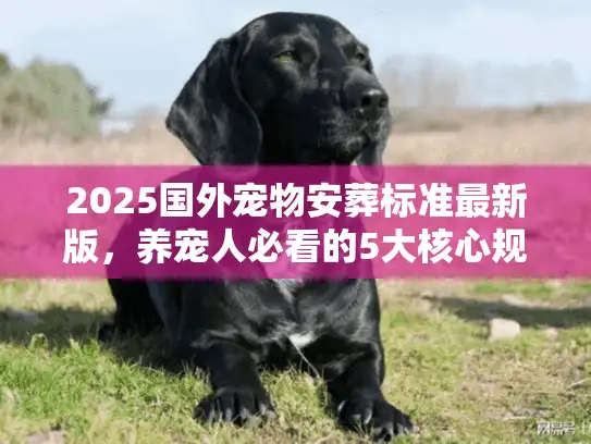 2025国外宠物安葬标准最新版，养宠人必看的5大核心规则，选错可能留终身遗憾