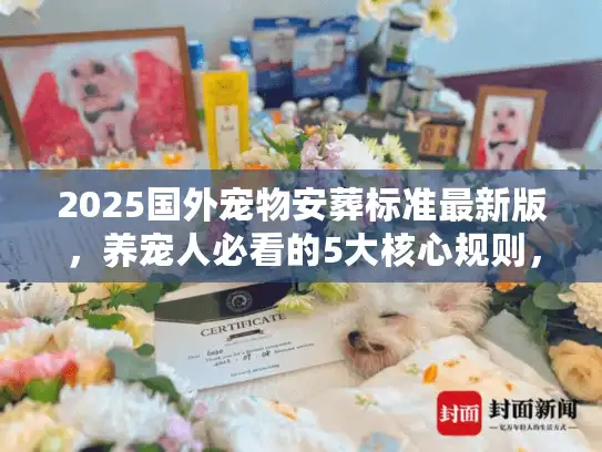 2025国外宠物安葬标准最新版，养宠人必看的5大核心规则，选错可能留终身遗憾