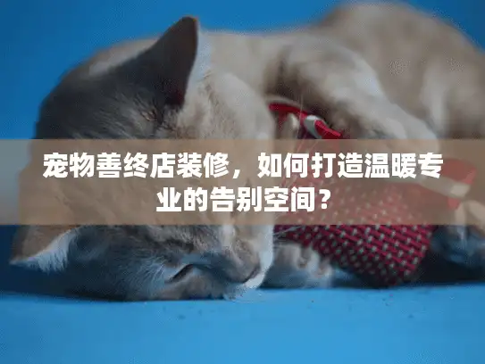 宠物善终店装修，如何打造温暖专业的告别空间？