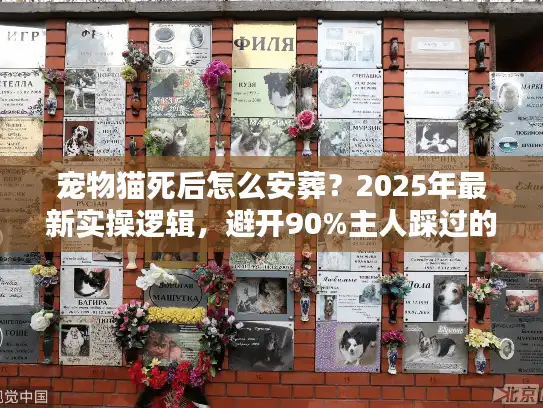 宠物猫死后怎么安葬？2025年最新实操逻辑，避开90%主人踩过的3个坑