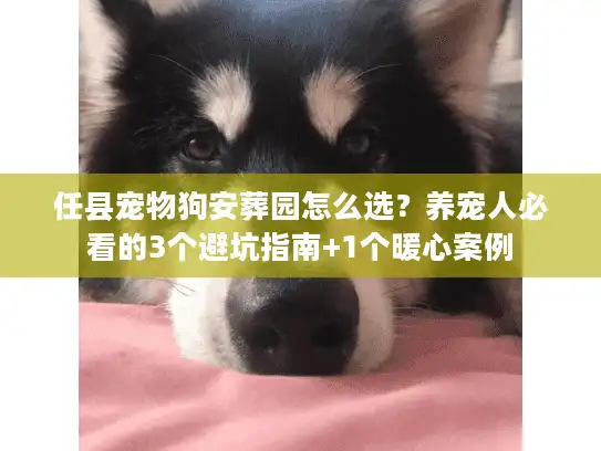 任县宠物狗安葬园怎么选？养宠人必看的3个避坑指南+1个暖心案例