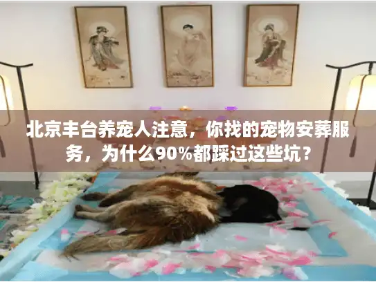 北京丰台养宠人注意，你找的宠物安葬服务，为什么90%都踩过这些坑？