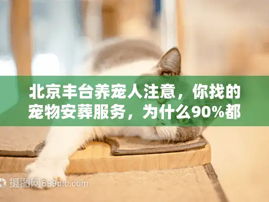 北京丰台养宠人注意，你找的宠物安葬服务，为什么90%都踩过这些坑？