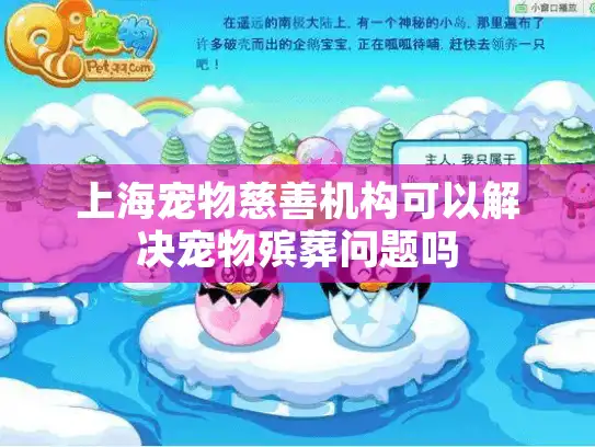 上海宠物慈善机构可以解决宠物殡葬问题吗