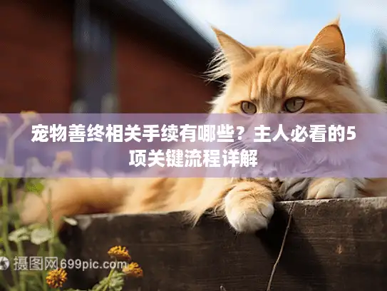 宠物善终相关手续有哪些？主人必看的5项关键流程详解