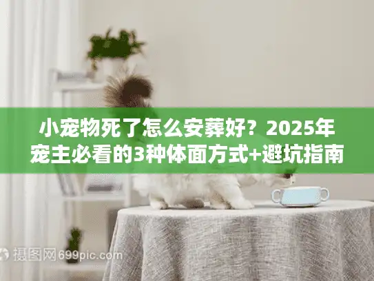 小宠物死了怎么安葬好？2025年宠主必看的3种体面方式+避坑指南