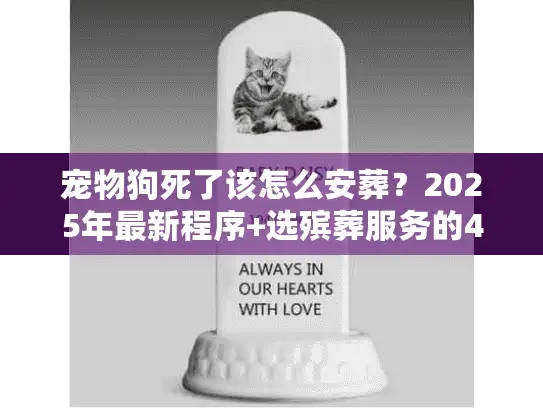 宠物狗死了该怎么安葬？2025年最新程序+选殡葬服务的4个关键，看完不慌